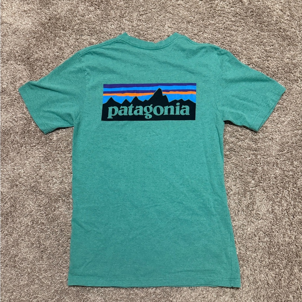 Patagonia Teal Graphic T-Shirt
